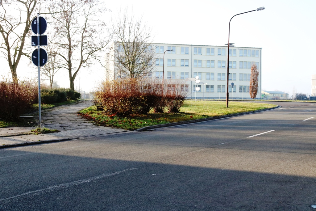 Käthe Kollwitz Schule 2021